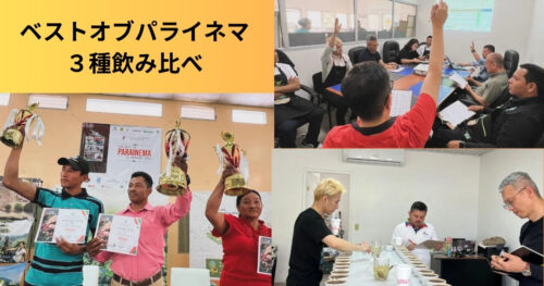 カフェテナンゴ店頭で、品評会優勝他パライネマ種3種の飲み比べができます！