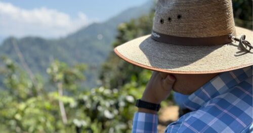 ロズマ農園 ― 尾根をわたる風が運ぶ果実の記憶