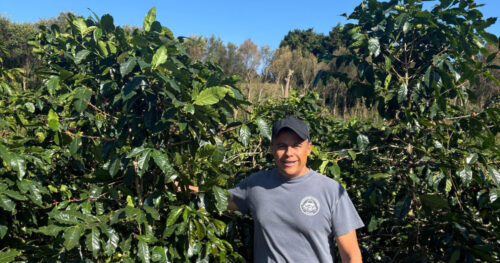 シュマバ・デ・ルルデス農園 ― 夢を分かち合う二つの道