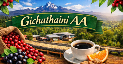 “浅煎りだけじゃない” ケニアの懐の深さを知る ～ ケニア「ギチャタイニ AA」