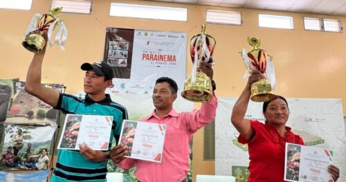 Best of Parainema 2024 １位 ヌエバ・ルス農園より届いた農園主の言葉