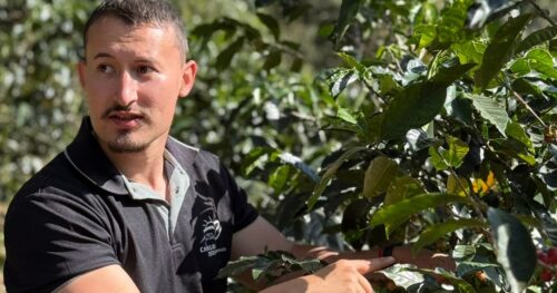 中米出張2026 No.2： マイクロミルの先駆け的な存在 ラ・カンデリージャへ