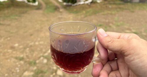 春の美味しいコーヒーの淹れ方 ～ いつもと違う環境で淹れるときのコツ ～