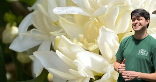 道端の種子が山の頂で花開くまで